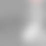 Babbity Banner