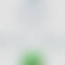 Twitter Bush Cover template 1
