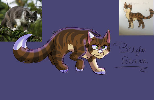 Bright Stream ZizzyArts - Hobbyist, General Artist | DeviantArt