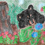Black Bear At The Nature Realm