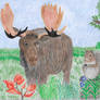 Moose and Squirrel