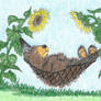 Sunflower Days Are Here Again