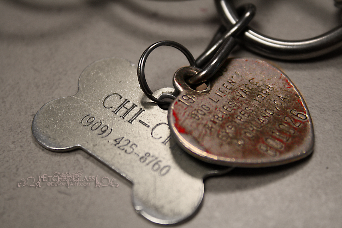 Dog Tags by etchedglass