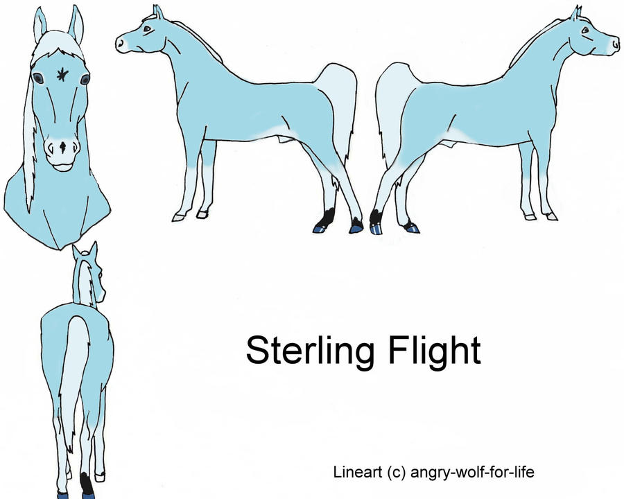 WBS Sterling Flight