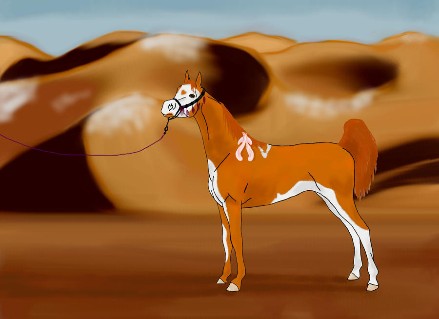 WBS Overlooked Beauty Canter For A Cure