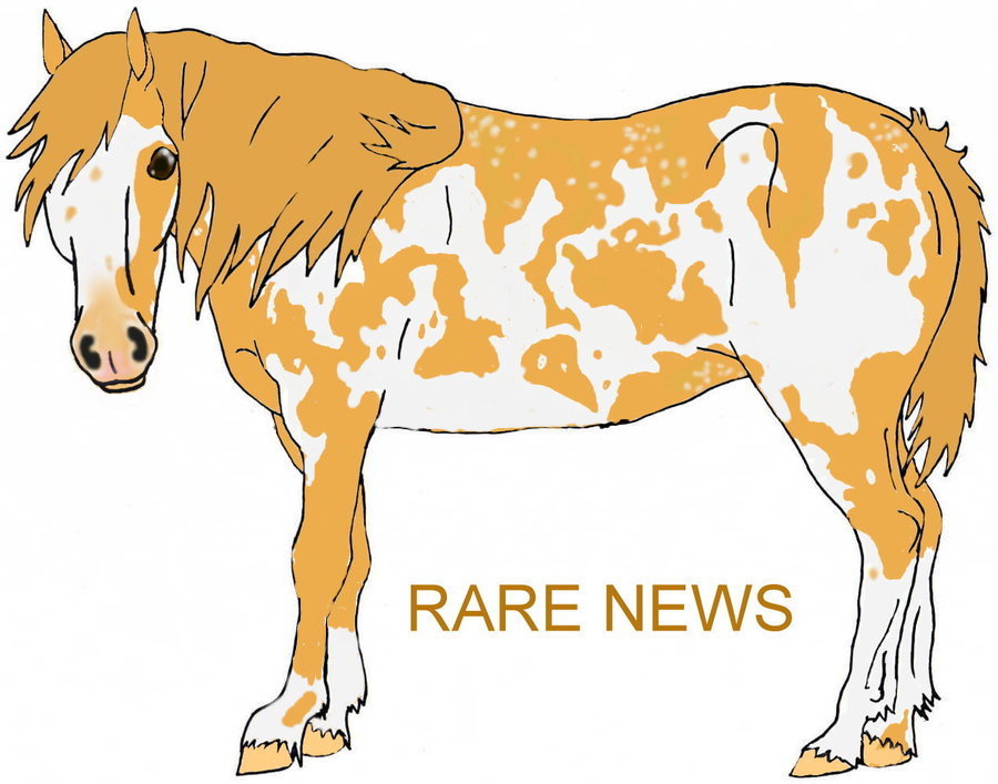 WBS Rare News *OLD*
