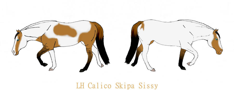 LH Calico Skipa Sissy