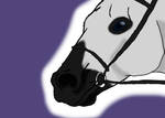 Faith at Arctic Night Stables Mini Show by happy-horse-for-life
