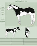 WBS Ka$h It Inn *Re-Purchased* by happy-horse-for-life