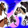 SSS First Annual Spring Mini Show Halter