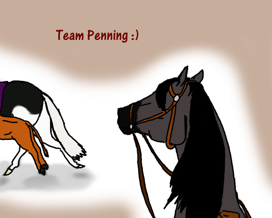 Crimson D's Beginner Event -Team Penning