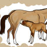 Colt Bid