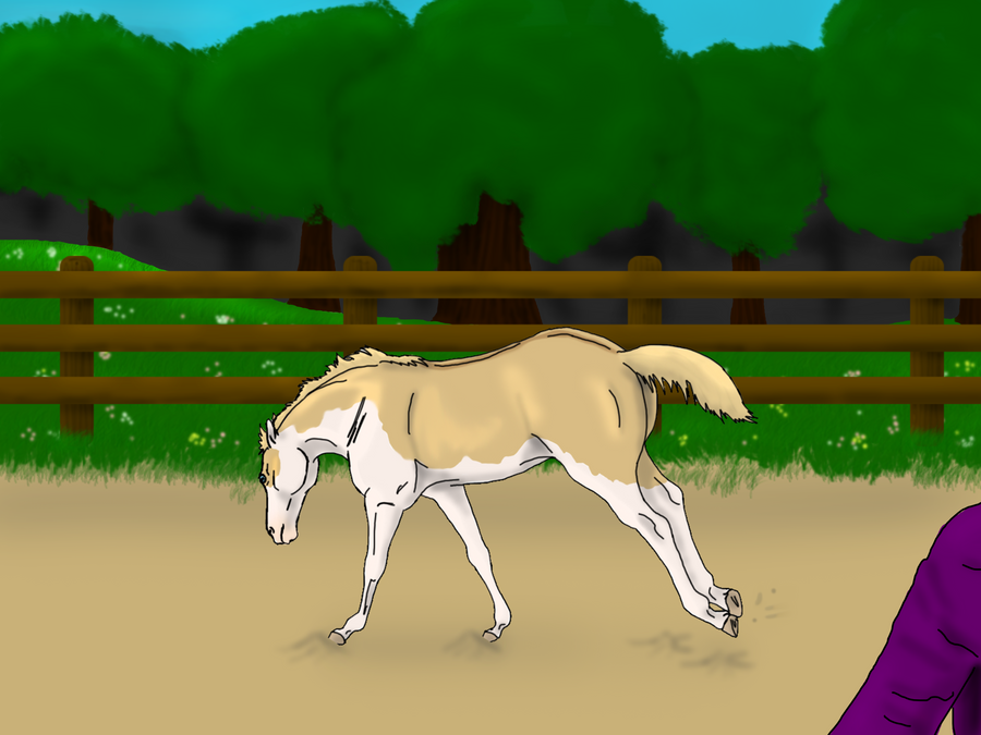 Hallie at Kick It Off All Foal Show