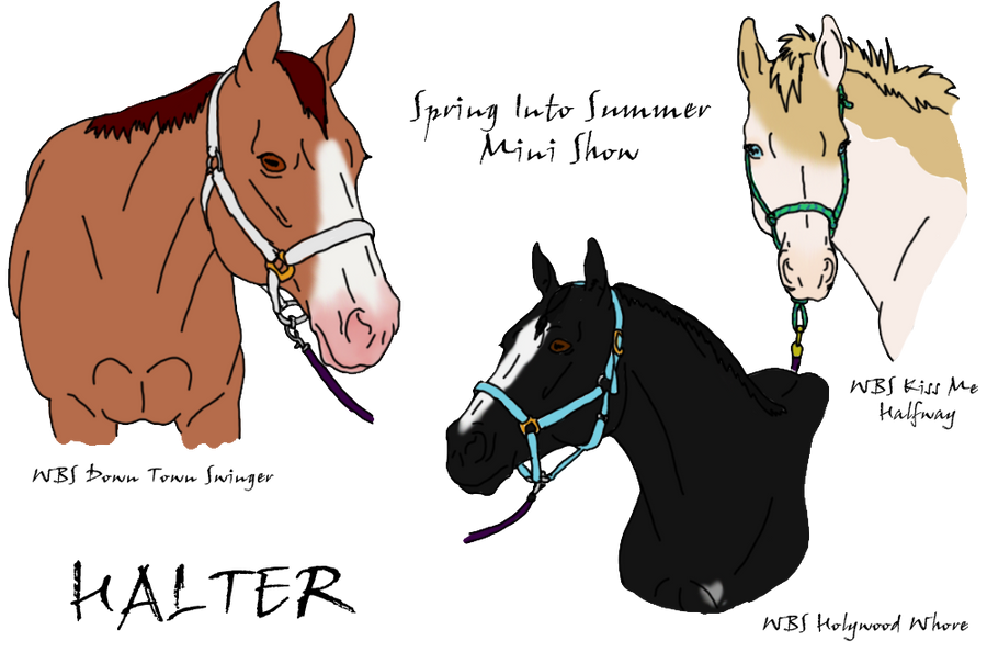 Spring Into Summer Mini Show -Halter