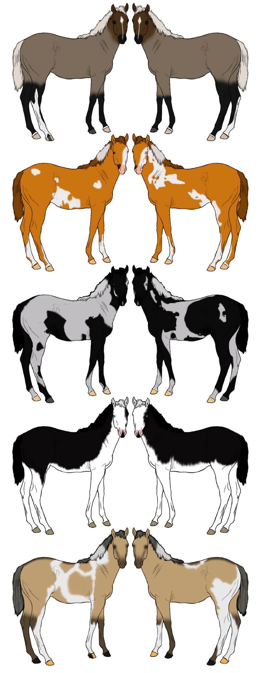 Foals for Affilies/Sisters