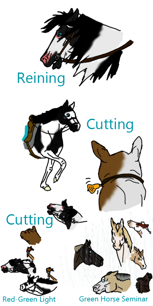 TOP CREEK ALL BREED EXTRAVAGANZA Entries