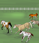 I want to run with the big girls by happy-horse-for-life