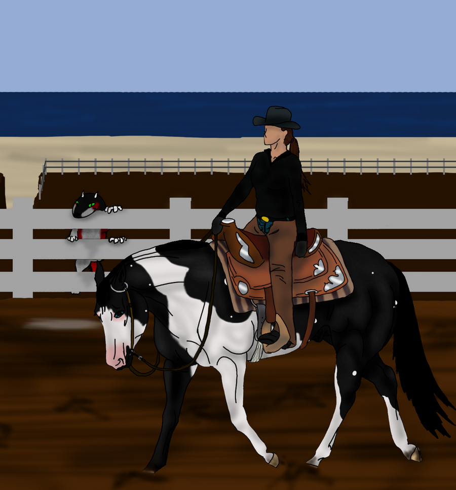 Newfoundland's Annual Show Western Pleasure Player