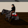 Newfoundland's Annual Show Reining Slinger