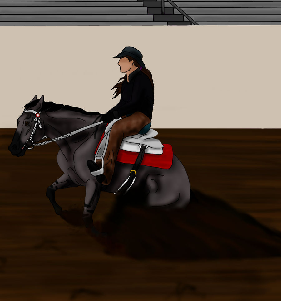 Newfoundland's Annual Show Reining Slinger