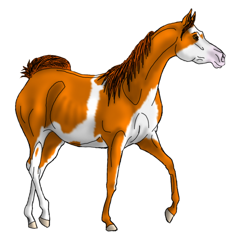 WBS Overlooked Beauty *OLD REF*