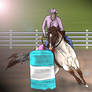 Flyboy at Windfall Winter Rodeo -Barrels