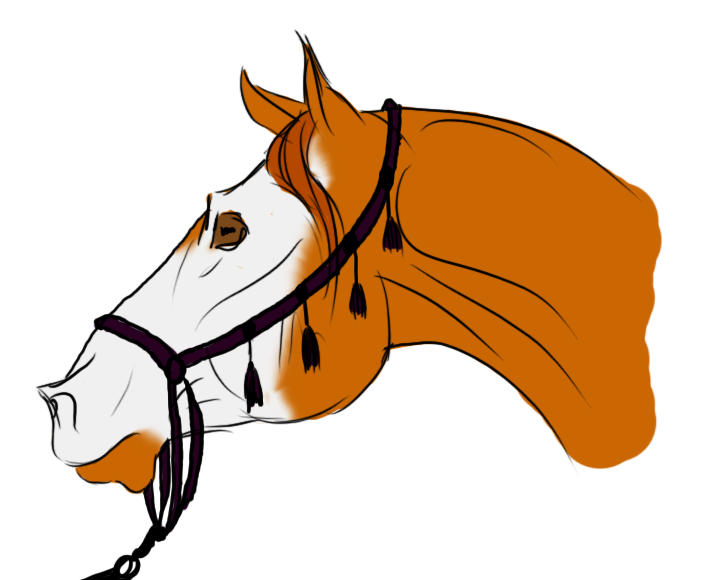 Ovie at WBS Neverending Mini Show Halter