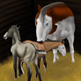 Betty + Foals