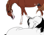 Please? by happy-horse-for-life