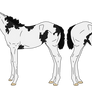 WBS Comanche Castaway Foal Reff