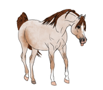 WBS Hucks Serenade by happy-horse-for-life