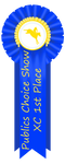 Publics Choice Show XC 1st Place Ribbon by happy-horse-for-life