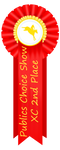 Publics Choice Show XC 2nd Place Ribbon by happy-horse-for-life