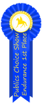 Publics Choice Endurance 1st Place Ribbon by happy-horse-for-life