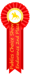 Publics Choice Endurance 2nd Place Ribbon by happy-horse-for-life