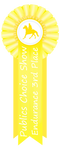 Publics Choice Endurance 3rd Place Ribbon by happy-horse-for-life