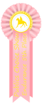 Publics Choice Endurance 5th Place Ribbon by happy-horse-for-life