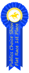 Publics Choice Flat Race 1st Place Ribbon by happy-horse-for-life