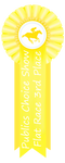 Publics Choice Flat Race 3rd Place Ribbon by happy-horse-for-life