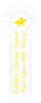 Publics Choice Flat Race 4th Place Ribbon by happy-horse-for-life