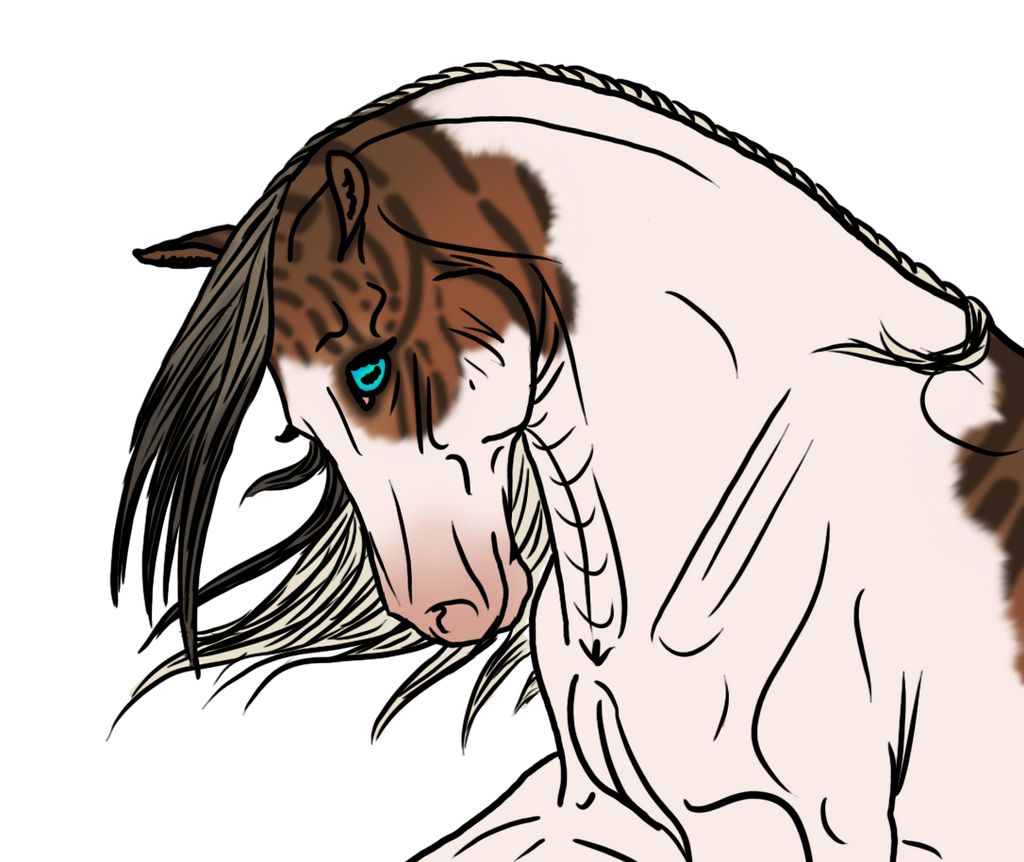 4921 WBS Jesu