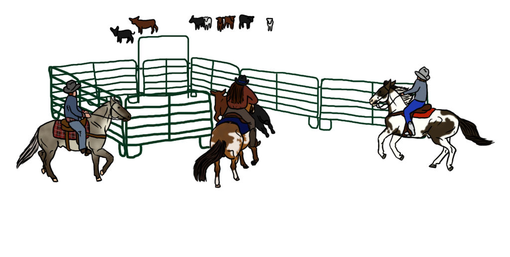 Team Penning