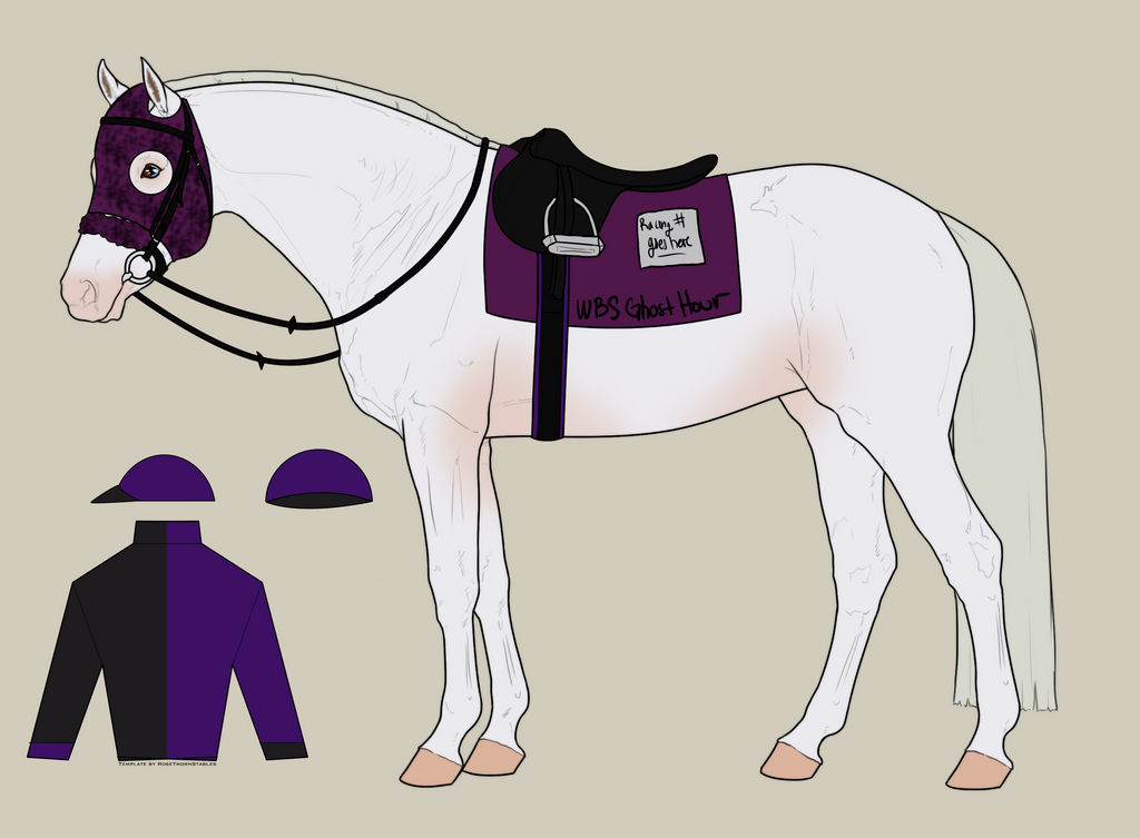 WBS Ghost Hour Racing Tack