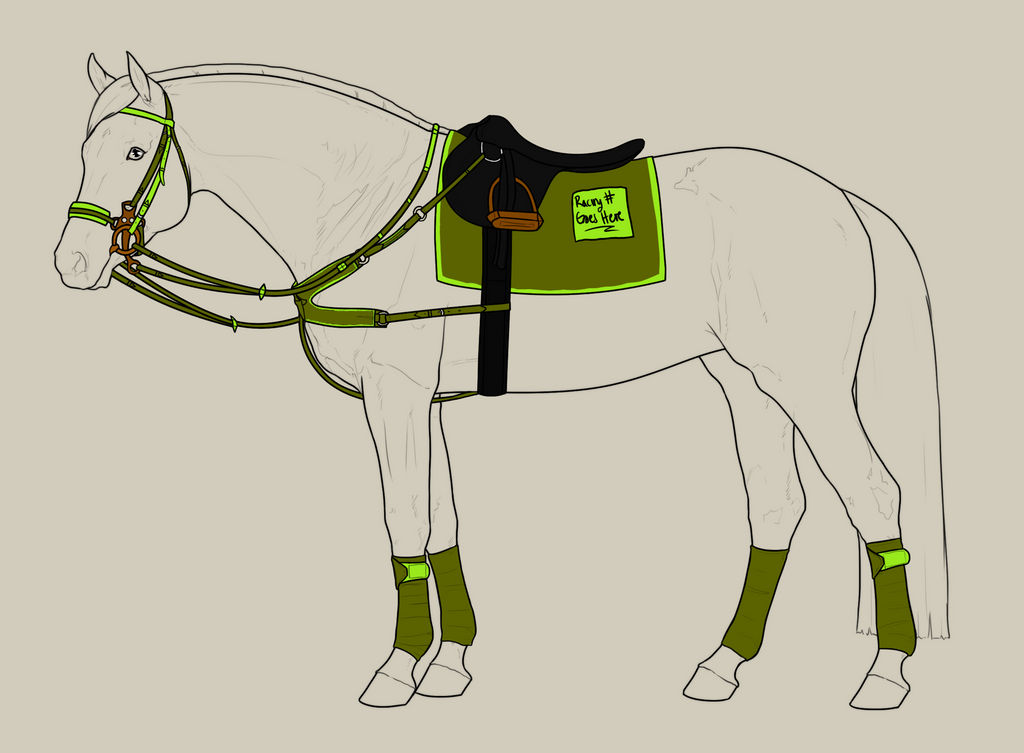 Apollo Racing Tack CM