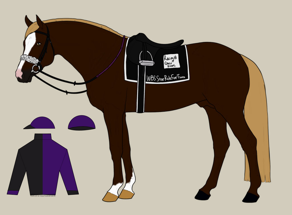 Burr Racing Tack