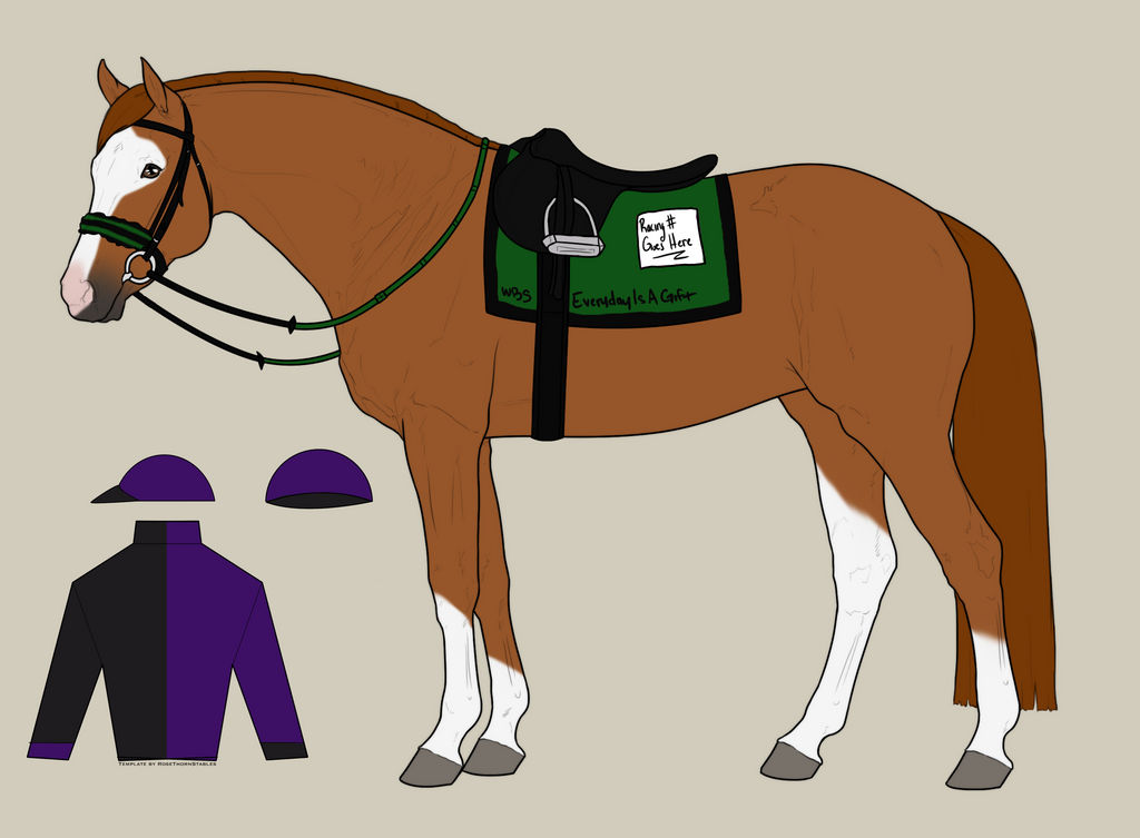 Dee Racing Tack