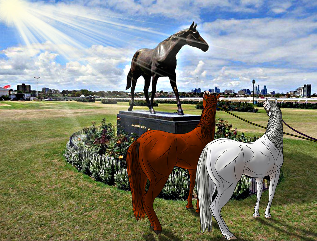 Meeting Makybe Diva
