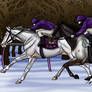 Ghost and Cloud In The Winter Senior Race