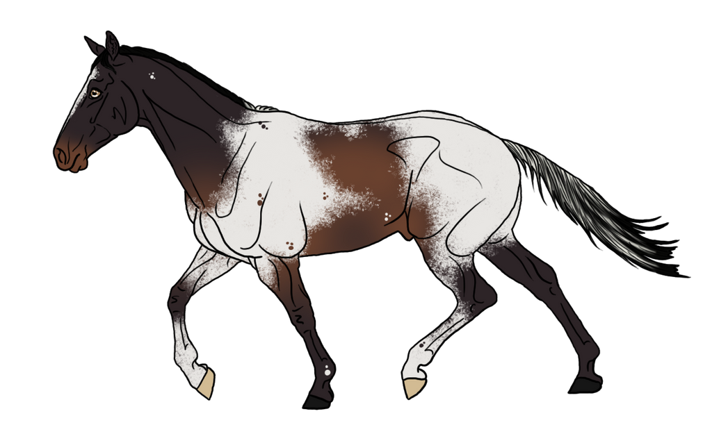 WBS Clouded Judgment