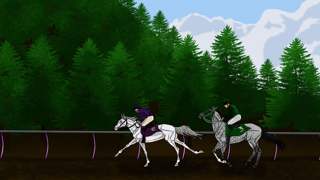 2016 Summer Senior Race